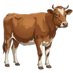 THE FIRE-STUNG DRIED BEEF
